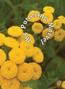 The Puttering Marvel - Allen Frost - 9781637324165