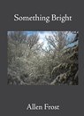 Something Bright - Allen Frost - 9781639017133