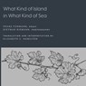 What Kind of Island in What Kind of Sea? - Franz Fuhmann - 9781643150277