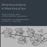 What Kind of Island in What Kind of Sea? - Franz Fuhmann - 9781643150277