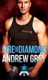 Fire and Diamond - Andrew Grey - 9781644050255
