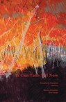It Can Take Till Now - Elizabeth Goodsir - 9781760417048