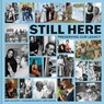 Still Here - Mary McCarthy ; Thandiwe McCarthy - 9781773104522