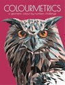 Colourmetrics - Max Jackson ; Buster Books - 9781780557489