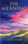 Meaning - Steve Taylor - 9781780993041