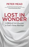 Lost in Wonder - Peter Mead - 9781781919071