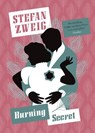 Burning Secret - Stefan (Author) Zweig - 9781782274520