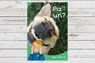Dyna Chi Dric: Pa Un? - Eirian Lloyd Jones ; Aneirin Karadog - 9781783904556