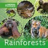 Rainforests - John Wood - 9781786371300
