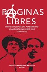 Páginas libres - Jorell Meléndez-Badillo - 9781792354885