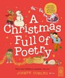 A Christmas Full of Poetry - Joseph Coelho - 9781836002345