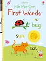 Little Wipe-Clean First Words - Felicity Brooks - 9781836053415
