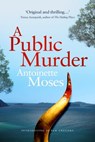 A Public Murder: Introducing DI Pam Gregory - Antoinette Moses - 9781838297718