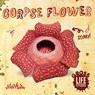 Corpse Flower - William Anthony - 9781839274824