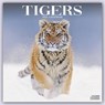 Tigers 2023 Wall Calendar -  - 9781839418211