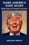 Make America Sane Again - Sheldon Hirsch - 9781839999499