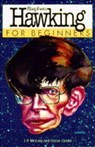Introducing Stephen Hawking - MCEVOY,  J. P. - 9781874166252