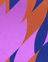 Bridget Riley - Jonathan Crary ; Nadia Chalbi ; Robert Kudielka - 9781905464159