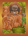 Birds and Animals to Colour - PALMER,  Dandi - 9781906442507