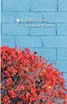 Before You - Leeanne Quinn - 9781906614485