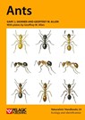 Ants - Gary J. Skinner ; Geoffrey W. Allen - 9781907807602