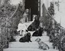 Royal Animals - Sally Goodsir - 9781909741713