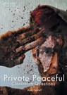 Private Peaceful Classroom Questions - Amy Farrell - 9781910949160