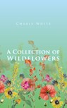A Collection of Wildflowers - T. S. IDIOT - 9781912092291
