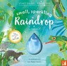 Small, Sparkling Raindrop - Mary Auld - 9781916780224