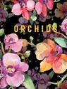 Orchids - Reed New Holland Publishers - 9781921073670