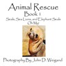 Animal Rescue, Book 1, Seals, Sea Lions And Elephant Seals, Oh My! - Penelope Dyan - 9781935118213