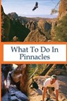 What To Do In Pinnacles - HAUSER,  Richard - 9781939534293