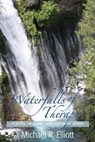 Waterfalls of Therapy - Michael R. Elliott - 9781939686466