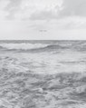 Barbara Bosworth: The Sea - BARBARA BOSWORTH - 9781942185918