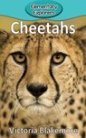 Cheetahs - Victoria Blakemore - 9781947439634