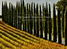 The Green Heart of Italy - Frank Van Riper ; Judith Goodman - 9781954119482