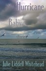 Hurricane Baby: Stories - Julie Liddell Whitehead - 9781956440959