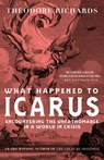 What Happened to Icarus: Encountering the Unfathomable in a World in Crisis - Theodore Richards - 9781965320938