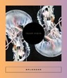 Splendor - Sarah Coolidge - 9781966192022