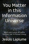 You Matter in this Information Universe - Jesuis Laplume - 9781966652205