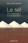Le sel. De l'esclavage à la mondialisation - Jean-Claude Hocquet - 9782271125286