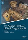 The Palgrave Handbook of Youth Gangs in the UK - Paul Andell ; John Pitts - 9783030996574