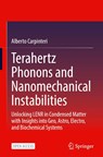 Terahertz Phonons and Nanomechanical Instabilities - Alberto Carpinteri - 9783032146915