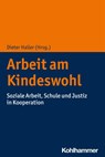 Arbeit am Kindeswohl - Dieter Haller - 9783170412781