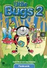 Little Bugs. Level 2. Flashcards - READ,  Carol - 9783194929739