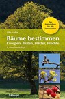 Bäume bestimmen - Knospen, Blüten, Blätter, Früchte - Rita Lüder - 9783258080499