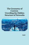The Geometry of Current: Unveiling the Hidden Structure of Networks - Amit - 9783384251411