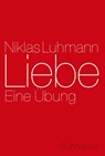 Liebe - Niklas Luhmann - 9783518585047