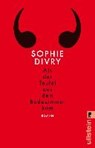 Als der Teufel aus dem Badezimmer kam - DIVRY,  Sophie - 9783548291505