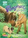 Ponyherz und Herr Franz: Kleines Fohlen, großer Held - Usch Luhn - 9783551690852